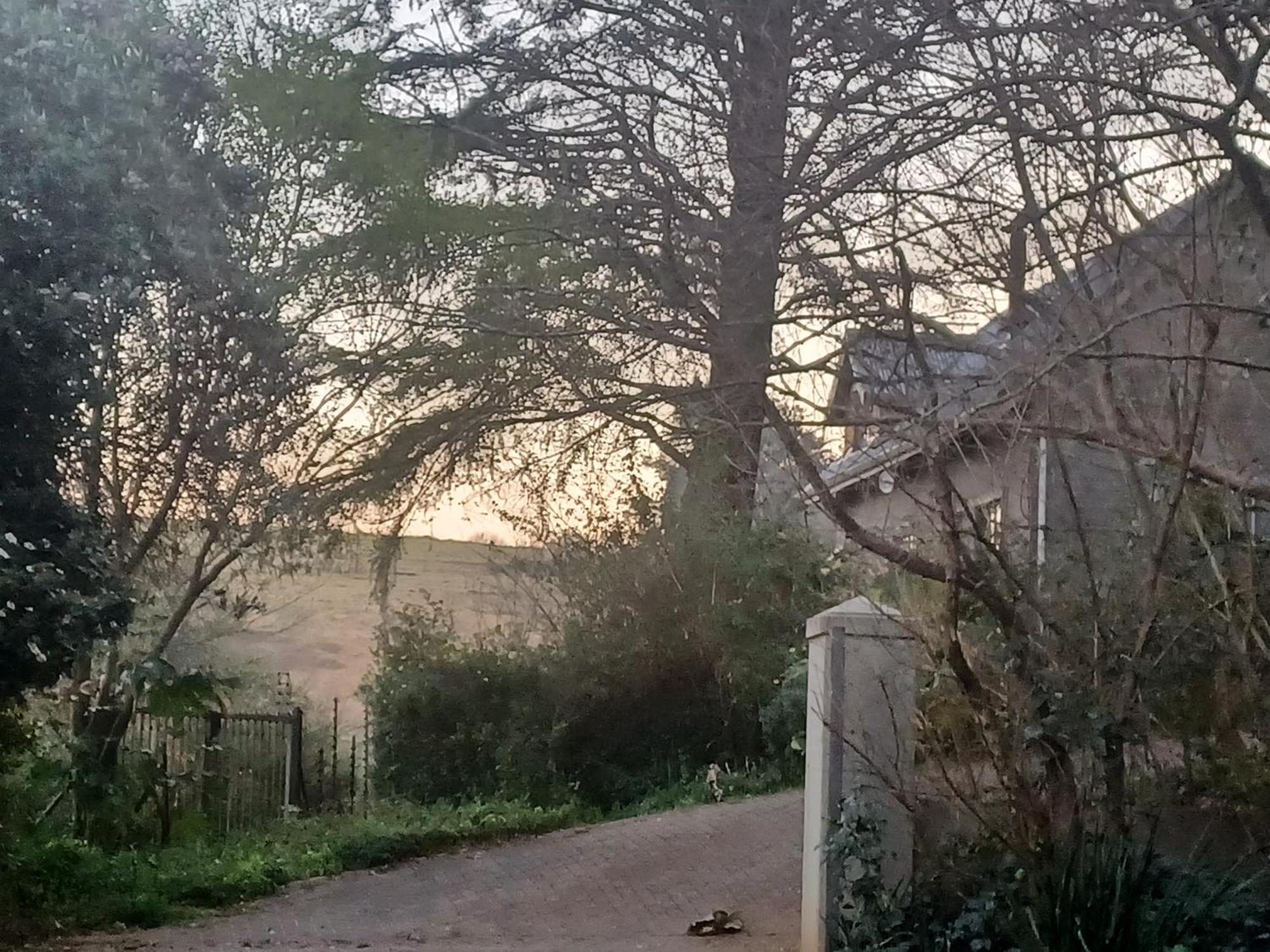 Little Fields Country House And Cottages Howick Exterior photo